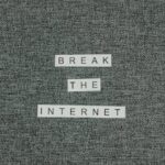 Close-up shot of the phrase 'Break the Internet' on textured fabric background.